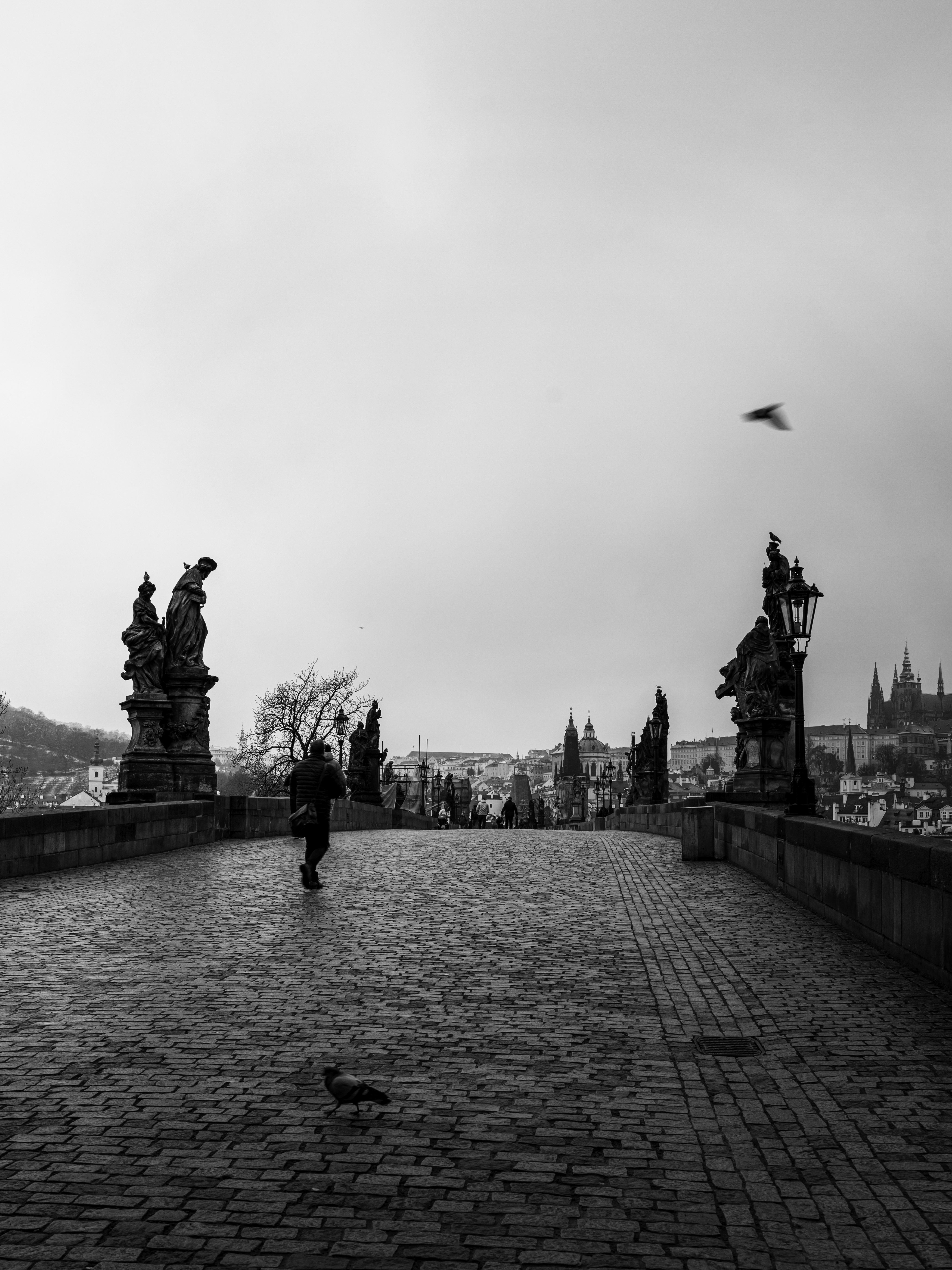 Photo du Pont Charles à Prague prise par Quentin Creveux, photographe de rue et de voyage.